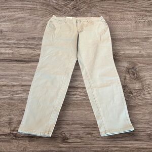 Style & Co Curvy Skinny Leg Mid Rise Sage Green Jeans Plus Size 16 NEW NWT